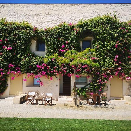 Nova Casa Com Piscina No Convento Das Bernardas タヴィラ エクステリア 写真