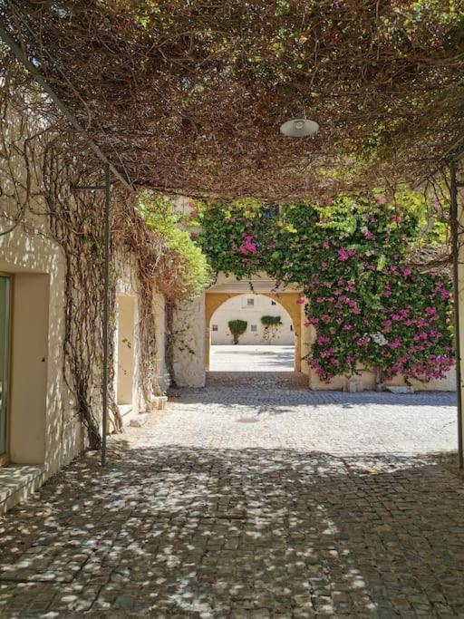 Nova Casa Com Piscina No Convento Das Bernardas タヴィラ エクステリア 写真