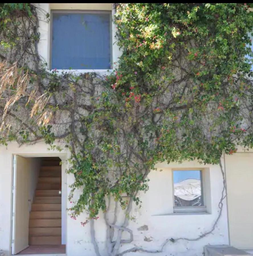 Nova Casa Com Piscina No Convento Das Bernardas タヴィラ エクステリア 写真