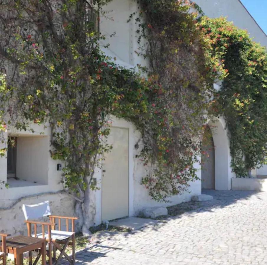 Nova Casa Com Piscina No Convento Das Bernardas タヴィラ エクステリア 写真