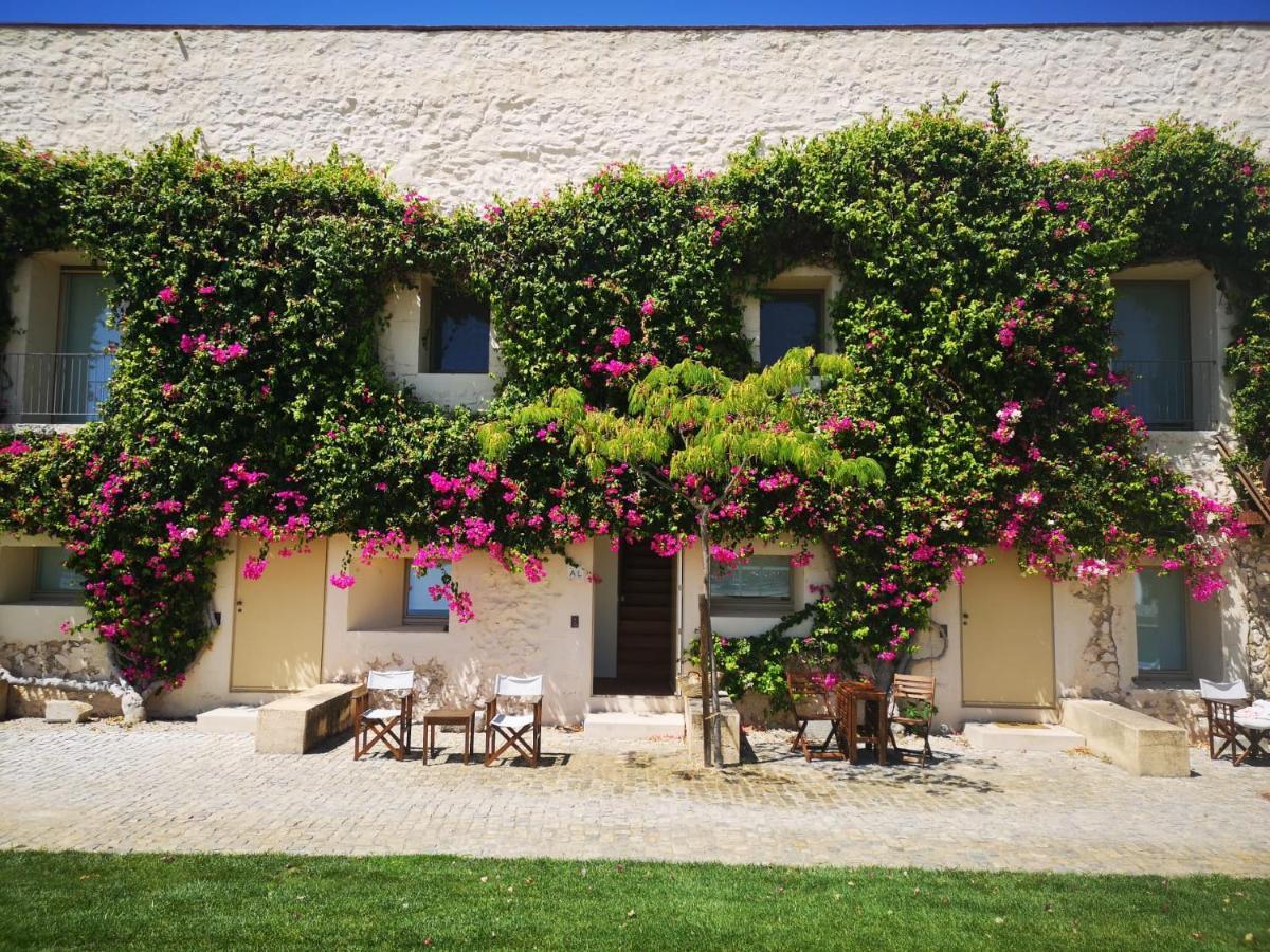 Nova Casa Com Piscina No Convento Das Bernardas タヴィラ エクステリア 写真